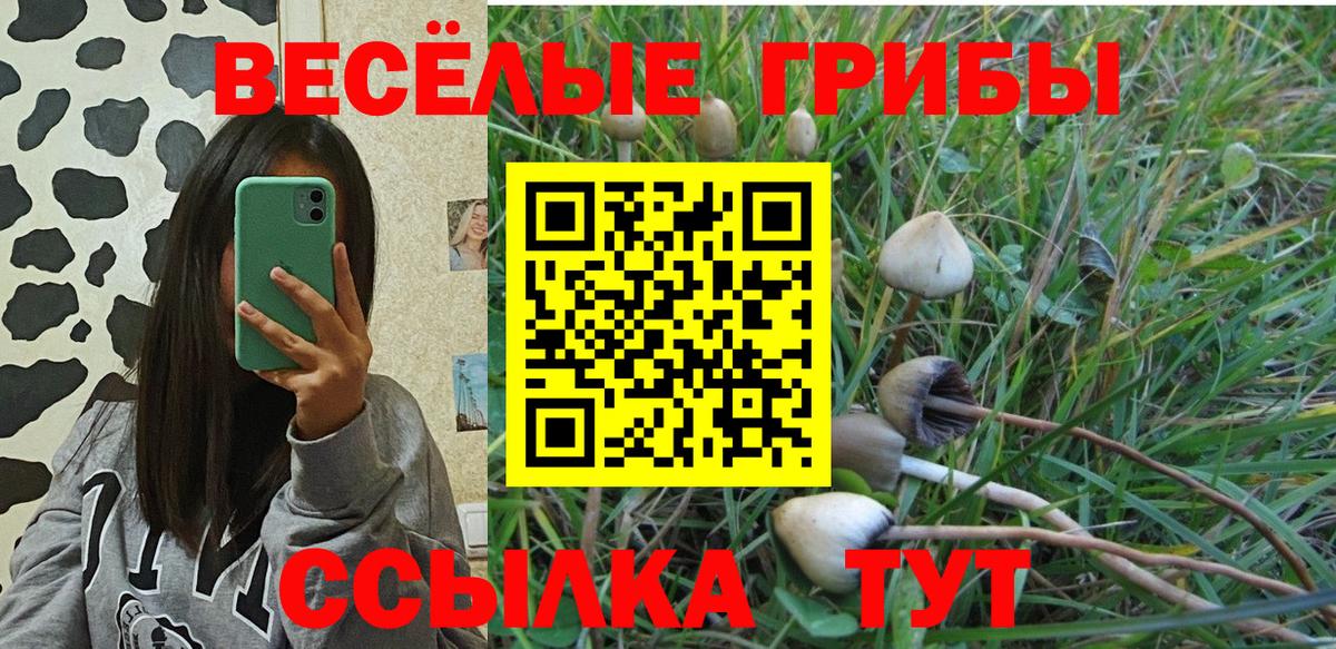 Галлюциногенные грибы Cubensis Саров