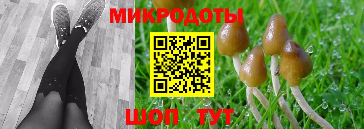 Саров  магазин продажи   Вход с VPN  Галлюциногенные грибы мухоморы 